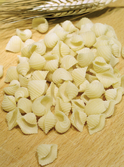 conchigliette: 2. obrázek